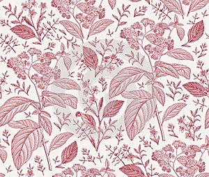 Seamless pattern Heliotrope isolated flowers Vintage background sketch Wallpaper Drawing engraving Illustration retro blooming set