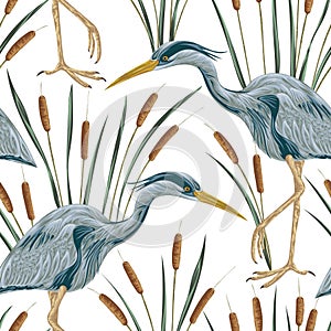 Seamless pattern with heron bird and bulrush. Swamp flora and fauna