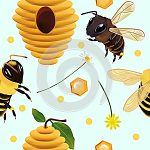 Seamless pattern with honey bee, honeycomb, beehive, flower for your design. Vector illustration