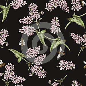 Seamless pattern with honeybees pollinating blooming buckwheat plants