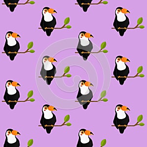 Seamless pattern horn bill bird on purple background