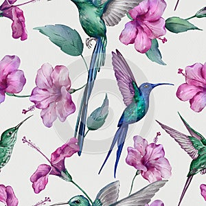 Seamless pattern with hummingbirds hand-drawn painted in watercolor style.