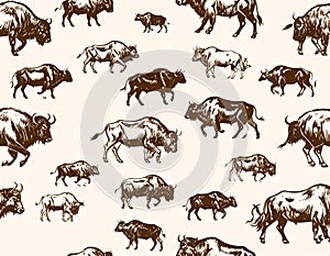 Bison Herd Pattern Illustration