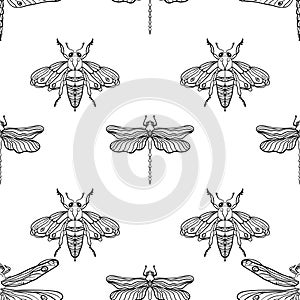 Seamless pattern with the image of butterflies, dragonflies, insects. Anti-stress coloring