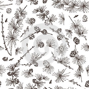 Seamless pattern ink hand drawn sketch of larch branches with pinecones isolated on white background Good idea for