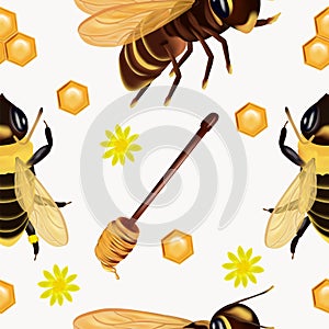 Seamless pattern with insect, wasp, beeswax, honey bee, honey dipper, flower. Pattern with insect for your design. 3d