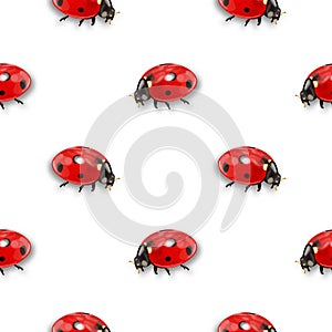 Seamless pattern with insects, chaotic background with bright close-up ladybugs