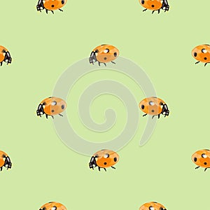 Seamless pattern with insects, chaotic background with bright close-up ladybugs