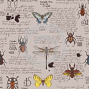 Seamless pattern with insects and lorem ipsum