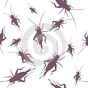 Seamless pattern of isolated crickets silhouettes