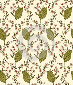 Seamless pattern isolated flowers Vintage background Wallpaper Drawing engraving. Vector illustration