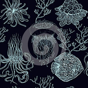 Seamless pattern with jellyfish,tropical fish, marine plants and corals. Vintage hand drawn vector illustration marine life