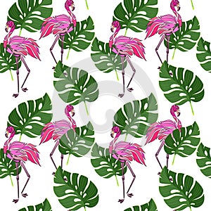 Seamless pattern with jungle tropical monstera leaves and flamingos, vector illustration. Texture for wallpapers, textile