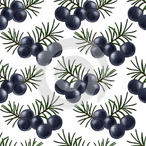 seamless pattern with Juniper berry