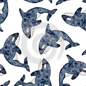Seamless pattern with Killer whale or Orcinus orca. Wild inhabitants of the seas and oceans of the Arctic. Hand drawn