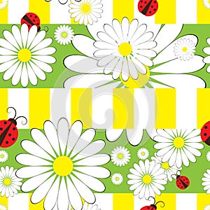 Seamless pattern with ladybirds and chamomile