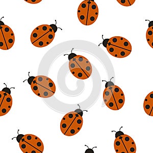 Seamless pattern with ladybug. Vector illustration isolated on white background.