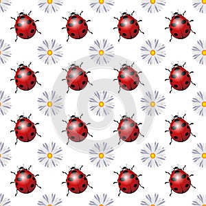 Seamless pattern with ladybug and white chamomile