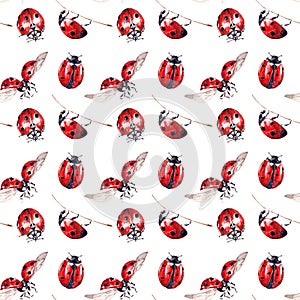 Seamless pattern with ladybugs isolated on white background. Bright red lady beetle. Watercolor with beautiful ladybird