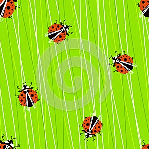 Seamless pattern with ladybugs on juicy sow thistle