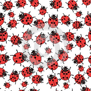 Seamless pattern with ladybugs Vector