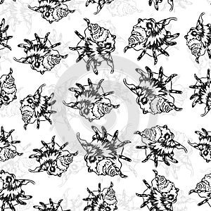 Seamless pattern Lambis spider conch Chicoreus aculeatus, large sea snail Unique shells, molluscs Gastropoda. Sketch black contour