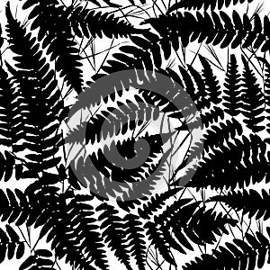 Seamless pattern with leafs tropical fern palm for fashion textile or web background. Black silhouette on white background. Vector