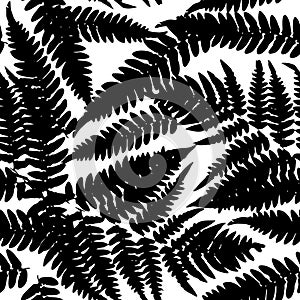 Seamless pattern with leafs tropical fern palm for fashion textile or web background. Black silhouette on white background. Vector
