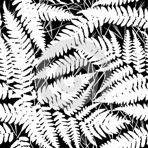 Seamless pattern with leafs tropical fern palm for fashion textile or web background. white silhouette on Black background. Vector