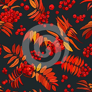 Seamless pattern of leaves, branches and fruits of a tree on a dark background. Creative collage with rowan leaves and fruits