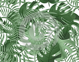 Seamless pattern of leaves monstera. Tropical plants, leaves of palm tree. Seamless pattern with exotic trees. Vector background