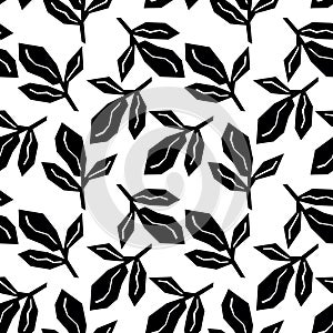 Seamless pattern with leaves.Tropical background photo