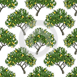 Seamless pattern with lemon trees