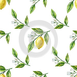 Seamless pattern with lemon watercolor illustrattion. Hand drawn illustration isolated on white background.