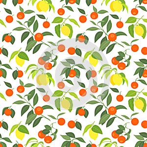 Seamless pattern with lemons and mandarins