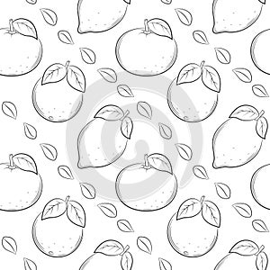Seamless pattern with lemons, oranges and leaves. Black and white hand-drawn linear elements are isolated on a transparent