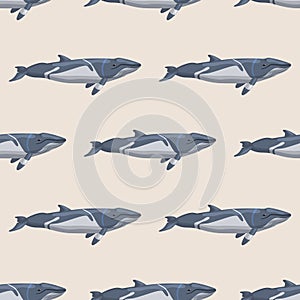Seamless pattern lesser rorqual on beige background. Template of cartoon character of ocean for fabric