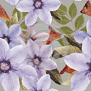 Seamless pattern of lilac clematis flowers with leaves orange and blue