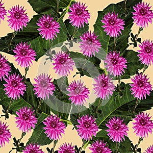 Seamless pattern : lilac dahlias, large dahlia leaves on a light background