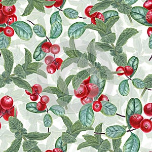 Seamless pattern with Lingonberries and mint sprigs. Peppermint, forest ripe berries. Fragrant greens and juicy red