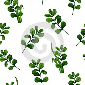 Seamless pattern from lingonberry leaf, cranberry leaf. Watercolor hand drawn illustration on white background