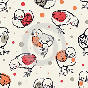 Seamless pattern with little chicken. Poultry. Farming. Livestock raising. Hand drawn.