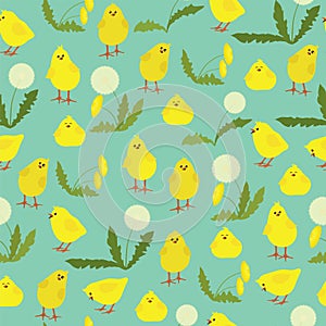 Seamless pattern with little chicks and dandelions