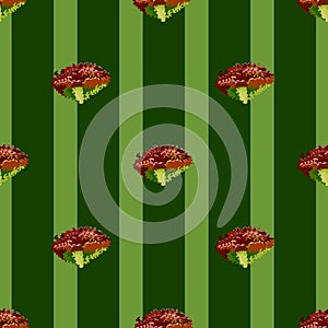 Seamless pattern lola rosa salad on stripes green background. Modern ornament with lettuce