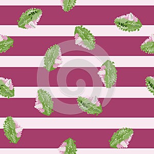 Seamless pattern lola rosa salad on stripes pink background. Abstract ornament with lettuce