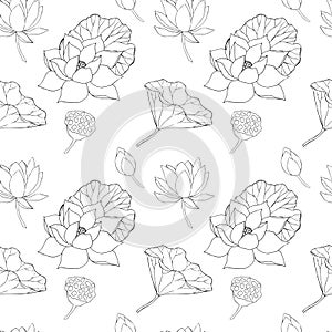 Seamless pattern with lotus flowers, leaves and buds black. Vector line illustration. Outline floral drawing for for