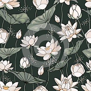 Seamless pattern with lotus flowers and leaves on a dark background.Botanical illustration style. Vector illustration.