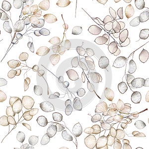 Seamless pattern of Lunaria rediviva branches