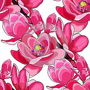 Seamless pattern magnolia flower red vector illustration