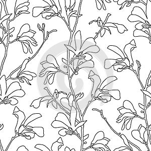 Seamless pattern with magnolia tree blossom. Floral background with branch and magnolia flower. Spring design with big